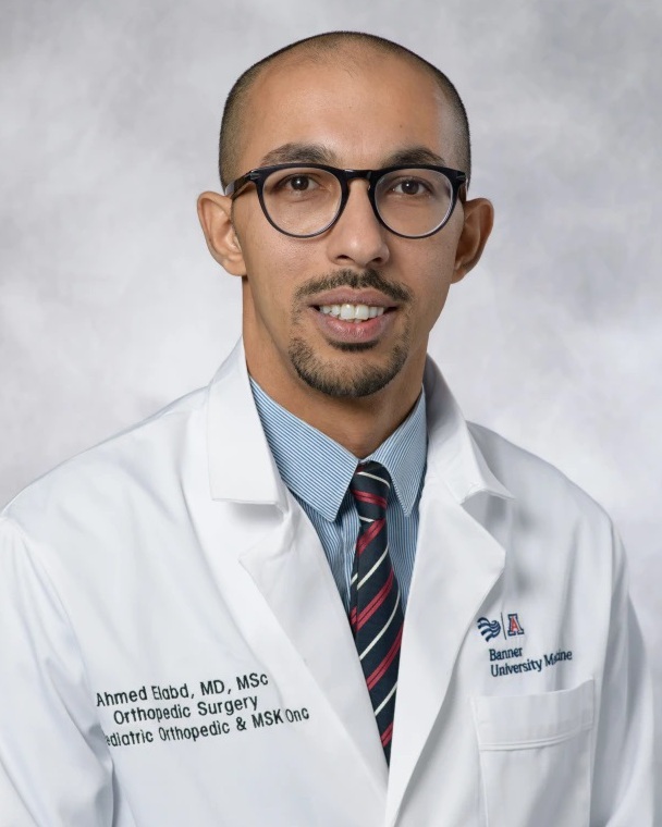 Dr. Ahmed                              Elabd